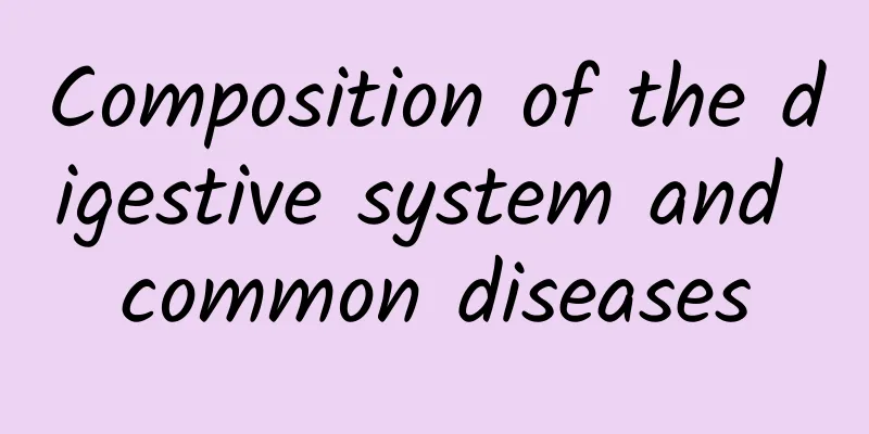 Composition of the digestive system and common diseases