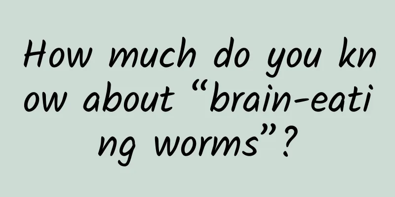 How much do you know about “brain-eating worms”?