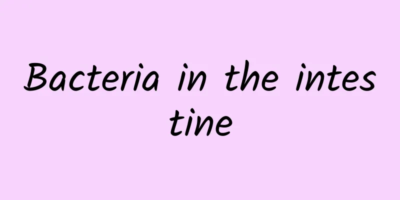 Bacteria in the intestine