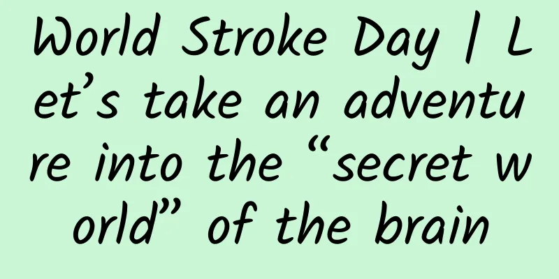 World Stroke Day | Let’s take an adventure into the “secret world” of the brain