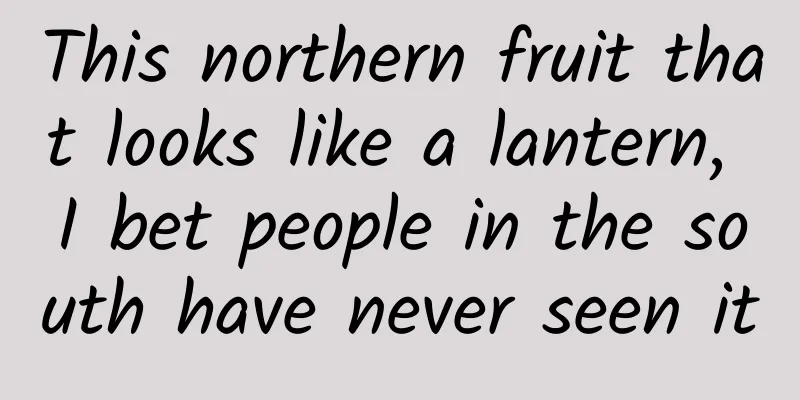 This northern fruit that looks like a lantern, I bet people in the south have never seen it