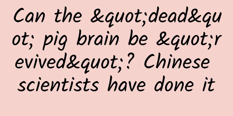 Can the "dead" pig brain be "revived"? Chinese scientists have done it