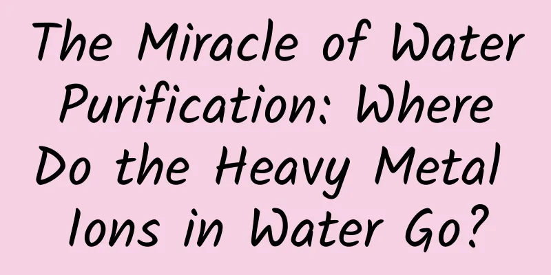The Miracle of Water Purification: Where Do the Heavy Metal Ions in Water Go?
