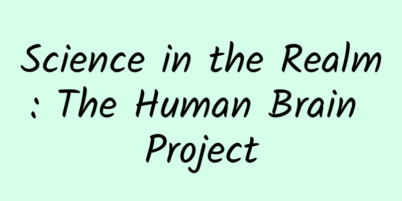 Science in the Realm: The Human Brain Project