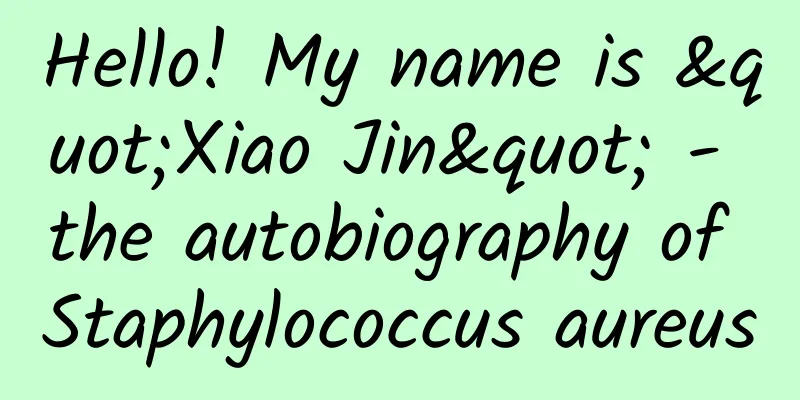 Hello! My name is "Xiao Jin" - the autobiography of Staphylococcus aureus