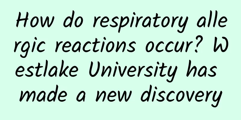 How do respiratory allergic reactions occur? Westlake University has made a new discovery