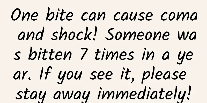 One bite can cause coma and shock! Someone was bitten 7 times in a year. If you see it, please stay away immediately!