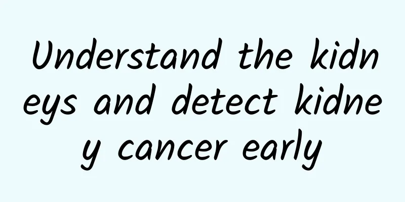 Understand the kidneys and detect kidney cancer early