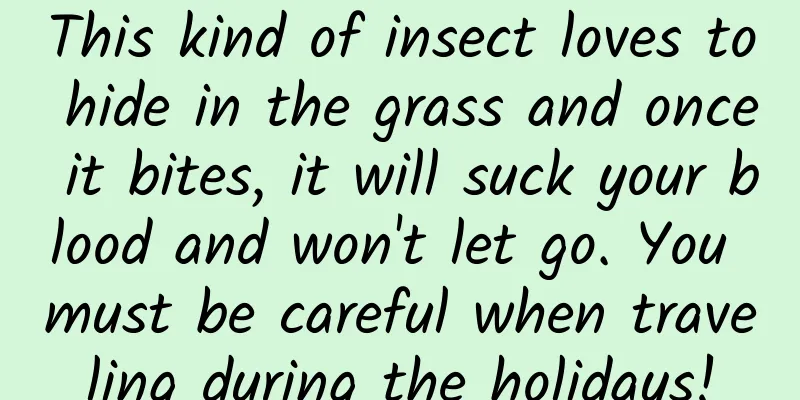 This kind of insect loves to hide in the grass and once it bites, it will suck your blood and won't let go. You must be careful when traveling during the holidays!
