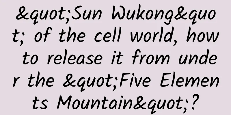 "Sun Wukong" of the cell world, how to release it from under the "Five Elements Mountain"?