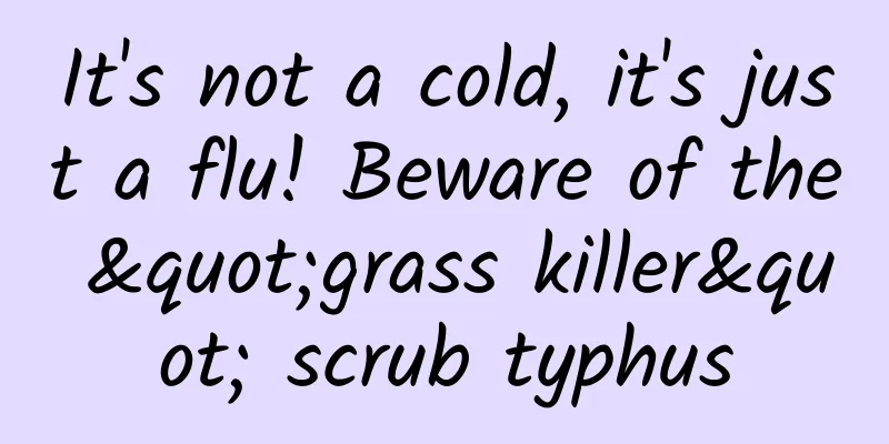 It's not a cold, it's just a flu! Beware of the "grass killer" scrub typhus