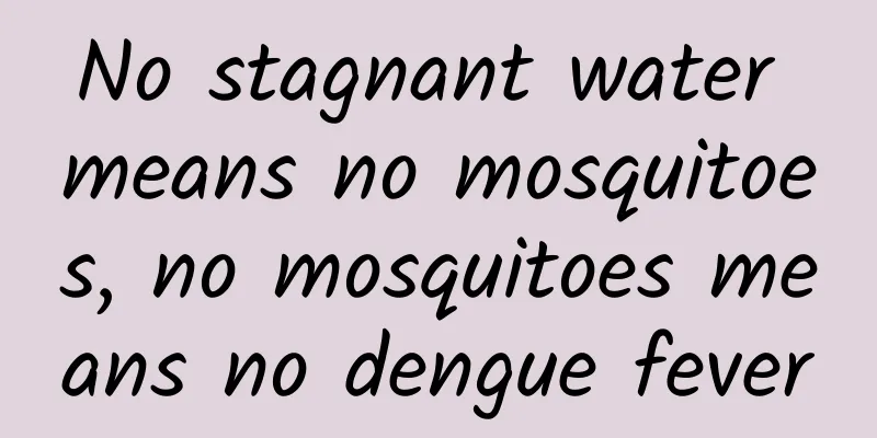 No stagnant water means no mosquitoes, no mosquitoes means no dengue fever