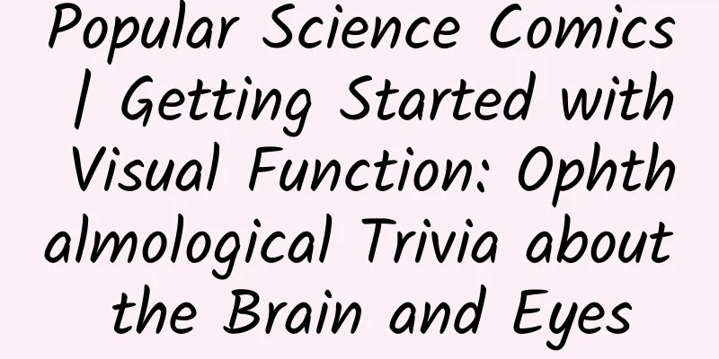 Popular Science Comics | Getting Started with Visual Function: Ophthalmological Trivia about the Brain and Eyes