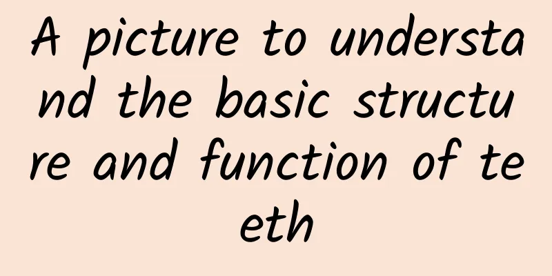 A picture to understand the basic structure and function of teeth