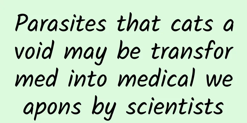 Parasites that cats avoid may be transformed into medical weapons by scientists