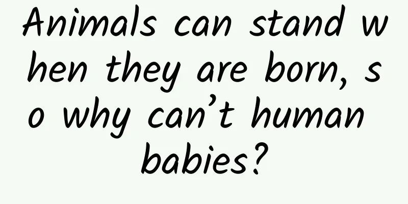 Animals can stand when they are born, so why can’t human babies?