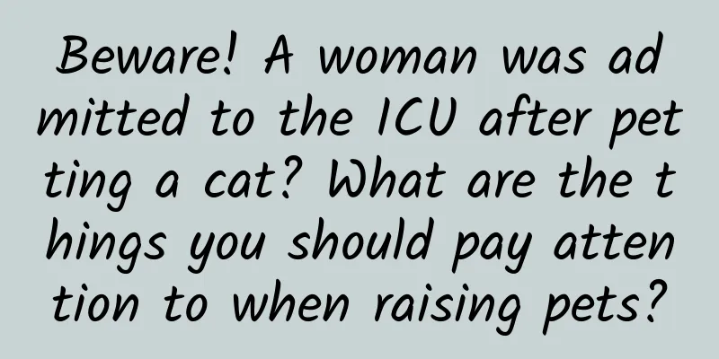 Beware! A woman was admitted to the ICU after petting a cat? What are the things you should pay attention to when raising pets?