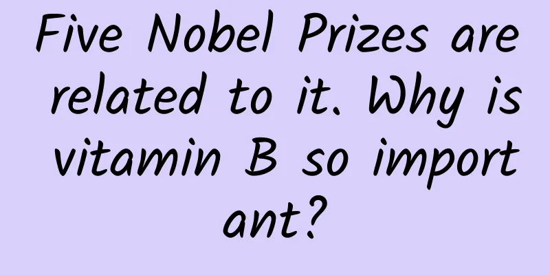 Five Nobel Prizes are related to it. Why is vitamin B so important?