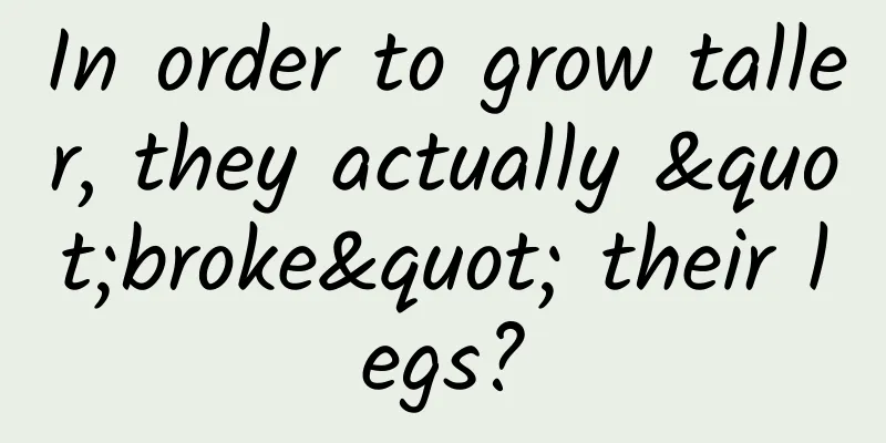 In order to grow taller, they actually "broke" their legs?