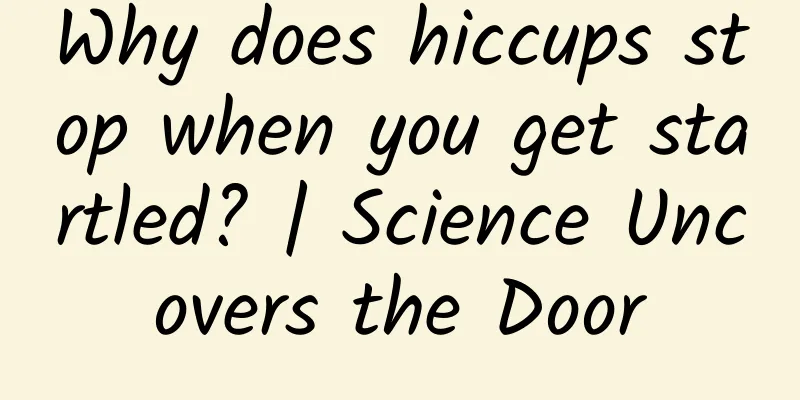 Why does hiccups stop when you get startled? | Science Uncovers the Door