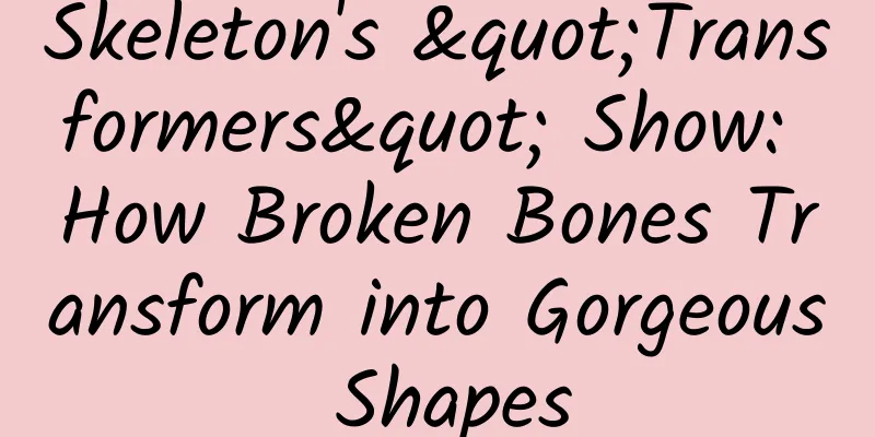 Skeleton's "Transformers" Show: How Broken Bones Transform into Gorgeous Shapes