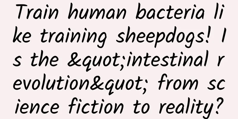 Train human bacteria like training sheepdogs! Is the "intestinal revolution" from science fiction to reality?
