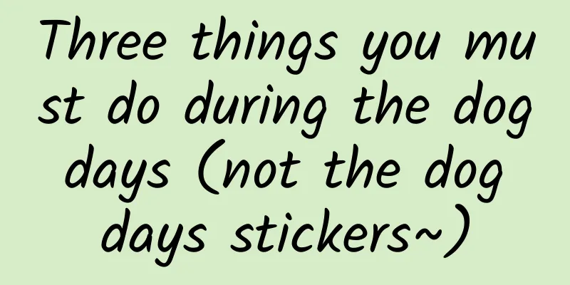 Three things you must do during the dog days (not the dog days stickers~)