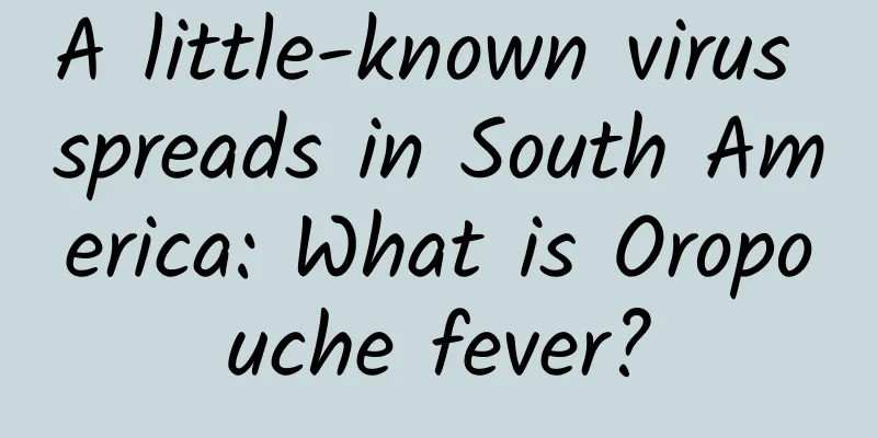 A little-known virus spreads in South America: What is Oropouche fever?