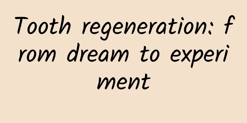 Tooth regeneration: from dream to experiment