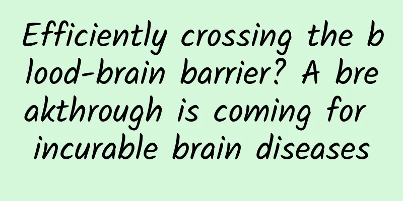 Efficiently crossing the blood-brain barrier? A breakthrough is coming for incurable brain diseases