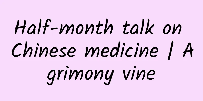 Half-month talk on Chinese medicine | Agrimony vine