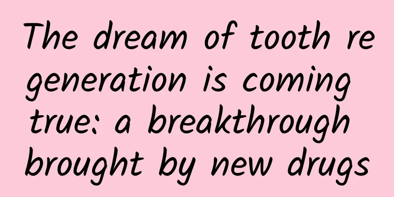 The dream of tooth regeneration is coming true: a breakthrough brought by new drugs