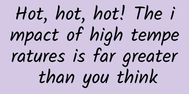Hot, hot, hot! The impact of high temperatures is far greater than you think