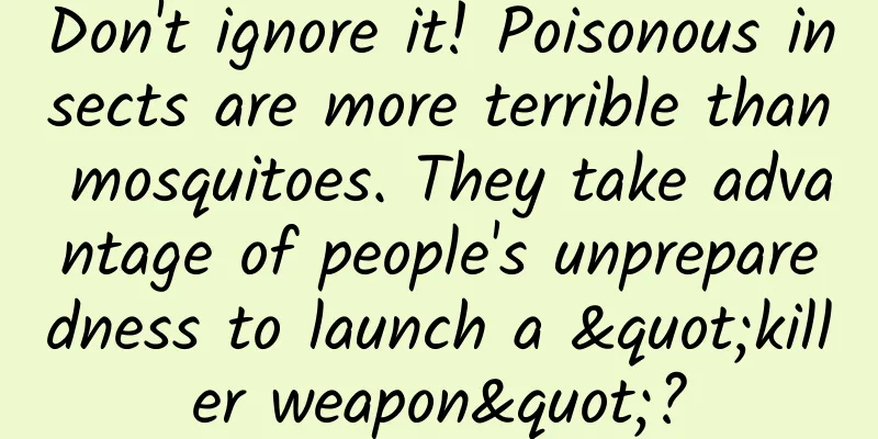 Don't ignore it! Poisonous insects are more terrible than mosquitoes. They take advantage of people's unpreparedness to launch a "killer weapon"?