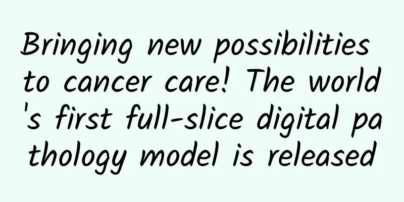 Bringing new possibilities to cancer care! The world's first full-slice digital pathology model is released