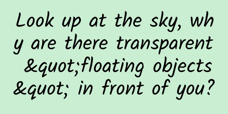 Look up at the sky, why are there transparent "floating objects" in front of you?