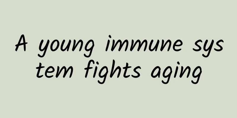 A young immune system fights aging
