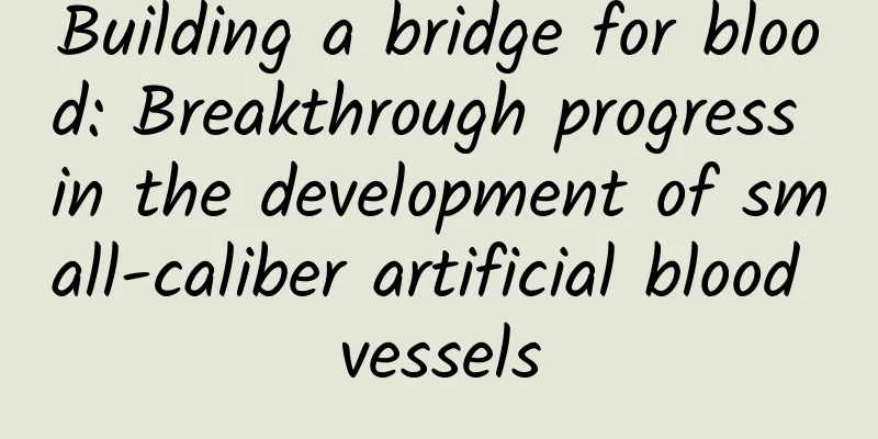 Building a bridge for blood: Breakthrough progress in the development of small-caliber artificial blood vessels