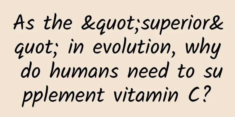 As the "superior" in evolution, why do humans need to supplement vitamin C?