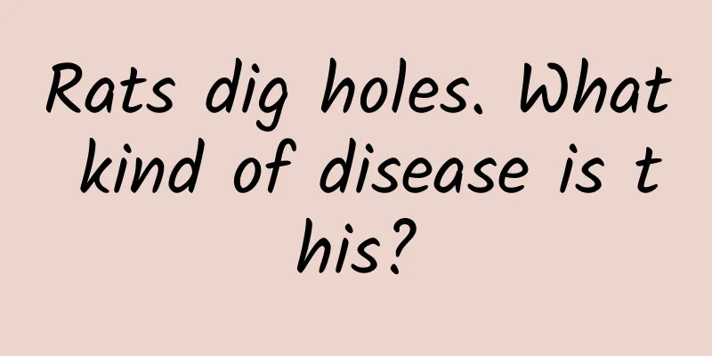 Rats dig holes. What kind of disease is this?