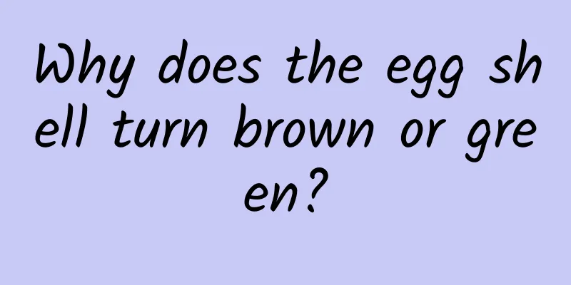 Why does the egg shell turn brown or green?