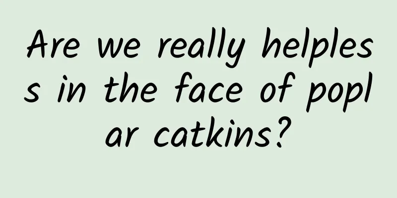 Are we really helpless in the face of poplar catkins?