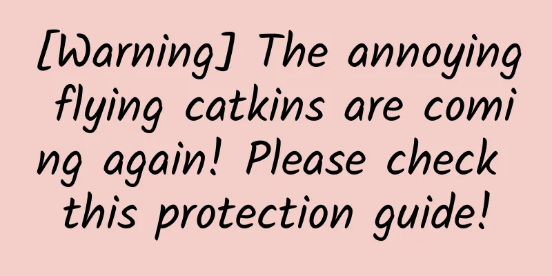[Warning] The annoying flying catkins are coming again! Please check this protection guide!