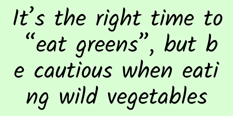 It’s the right time to “eat greens”, but be cautious when eating wild vegetables