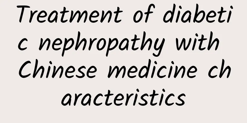 Treatment of diabetic nephropathy with Chinese medicine characteristics