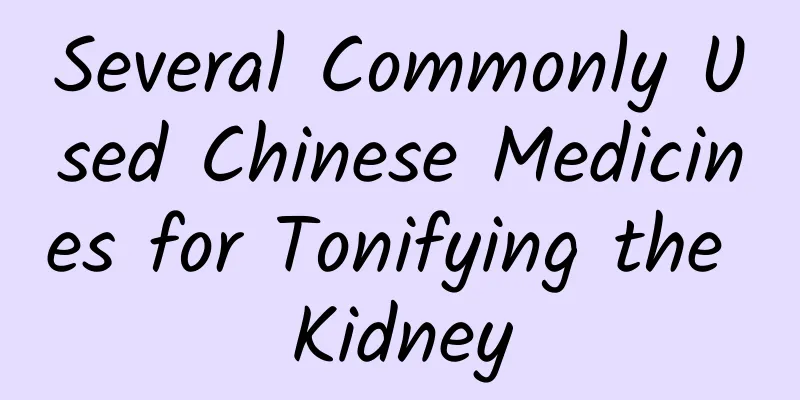 Several Commonly Used Chinese Medicines for Tonifying the Kidney