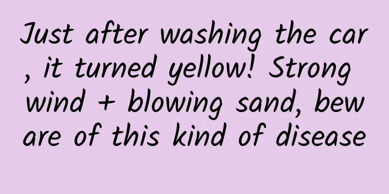 Just after washing the car, it turned yellow! Strong wind + blowing sand, beware of this kind of disease