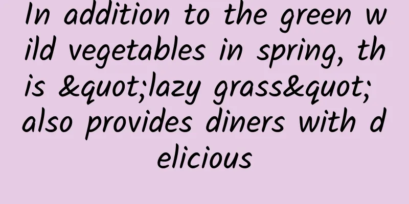 In addition to the green wild vegetables in spring, this "lazy grass" also provides diners with delicious