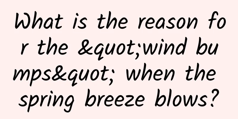 What is the reason for the "wind bumps" when the spring breeze blows?