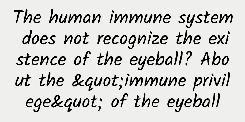The human immune system does not recognize the existence of the eyeball? About the "immune privilege" of the eyeball